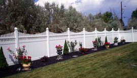 Shasta_Front Shasta_Front
